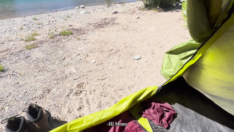 Sr Mono y Alba: Saya mendapati diri saya pelik di dalam hutan dan saya...