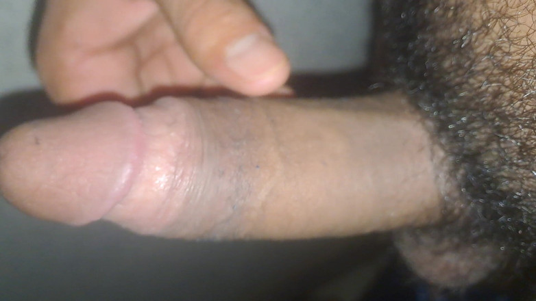 Kanvraj studio: Desi Cock