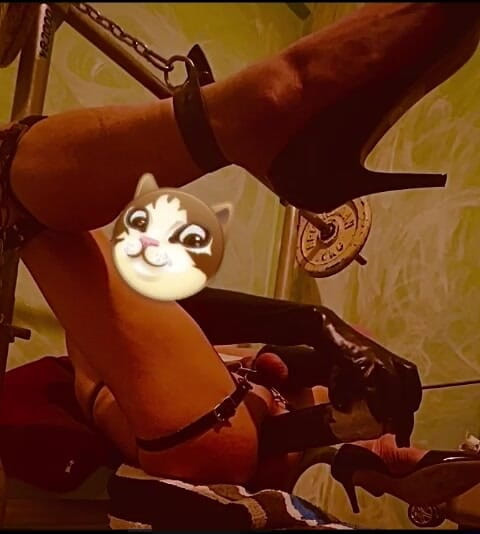 Analguy: Penyebar dubur