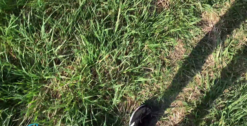 JohannWood: 다른 완벽한 괴물 사정, 슬로우모에서