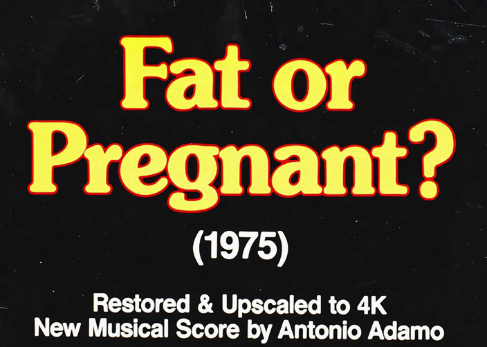 Vintage Erotic Archive: Fat or Pregnant