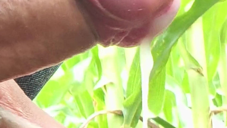 rkhydzstvcc: Dünya çapında viral desi hunk solo aksiyon vol 13 - premium yüzsüz amatör...