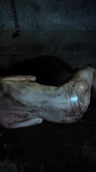The Countess's Dog Is Fed and Dragged Across the Dungeon Floor