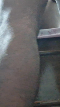 Bhabhi ssała mojego penisa za ruchanie jej cipki