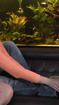 Toe Sucking