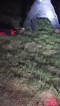 I Strip and Jerk off Outside at Night