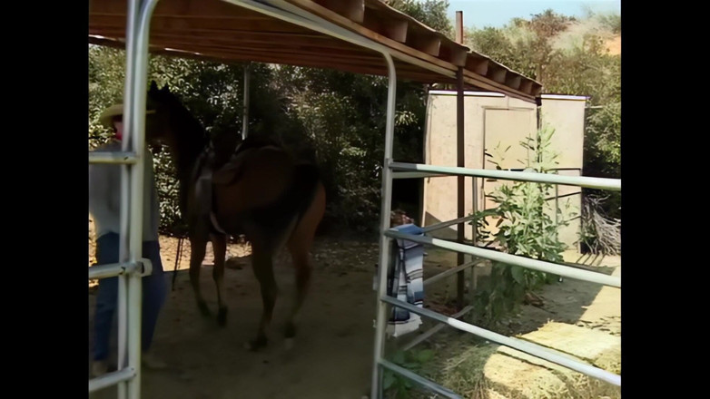 RATATATA!: भव्य ब्लेयर एक छोटी फूहड़ की तरह बाहर कुत्ते शैली गड़बड़ होना चाहता है