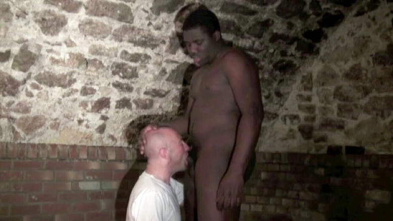 Jess Royan XXX: Jess futută de negresă cu pulă XXL