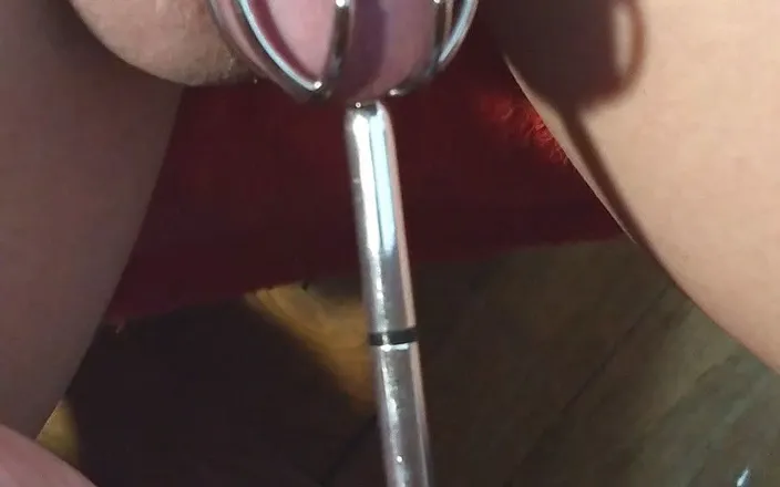 Lycra Shanks: Sissy sound