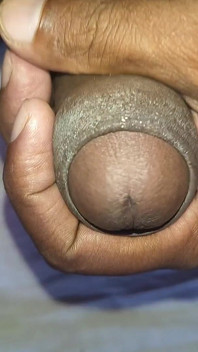 Desi Land