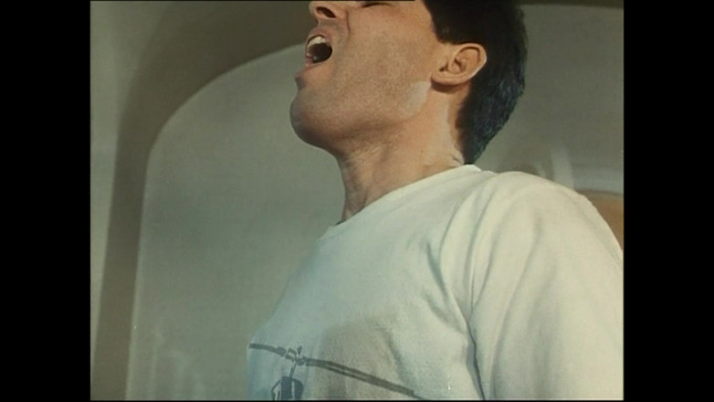 Rocco Siffredi and Friends: 全是为了舔鸡巴