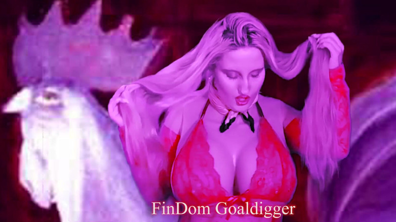 FinDom Goaldigger: FinDom Goaldigger is your owner