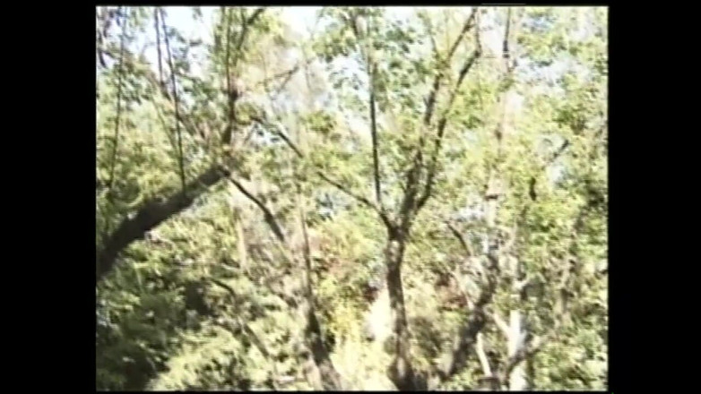 MCG EMPIRE TV - our best full movie: Dachshund çifte daldırma zevki (tam porno film)