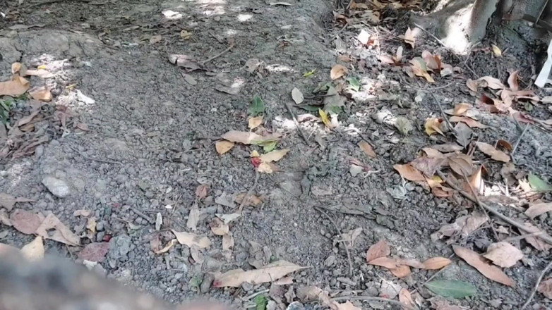 Kitty_Cross: Peek-a-boo külot