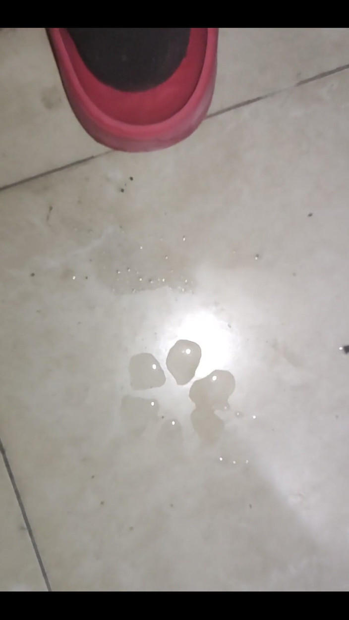 AlexAlejandro13: Namočila jsem ptáka vodou, velký a tlustý ... Mám to