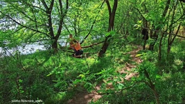 Elle se fait prendre en train de sucer dans les bois - trio inattendu avec un inconnu