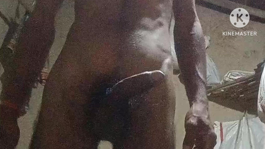 Bhabhi Fucked with 9 Inch Penis (X my studio) Bhabhi Fucked with 9 Inch Penis (X my studio)