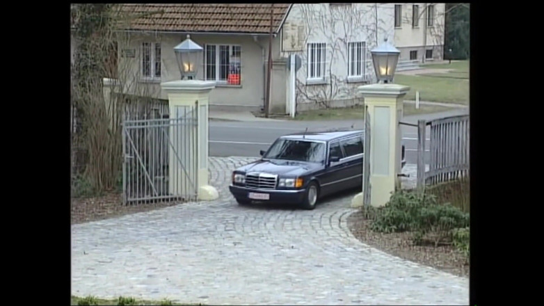 Deutschland porn: Blonde Horny Whore Got Hard Fucked When She Rode the...