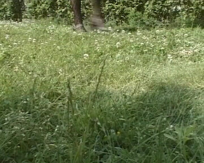 BB Video - Old School: Duitse amateur-tiener buitenshuis voetenbeurt met een hete blondine