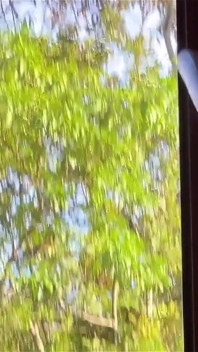 Sexuelles Abenteuer: Auf einer Insel leben - Porno-vlog