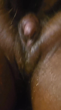 Squir