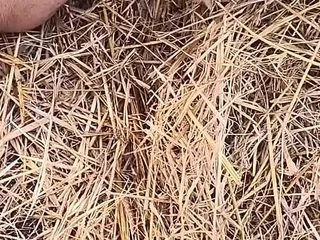 Abhikshasexvideos: Desi Hot Indian Girl Fucked Hard in Jungle by His...