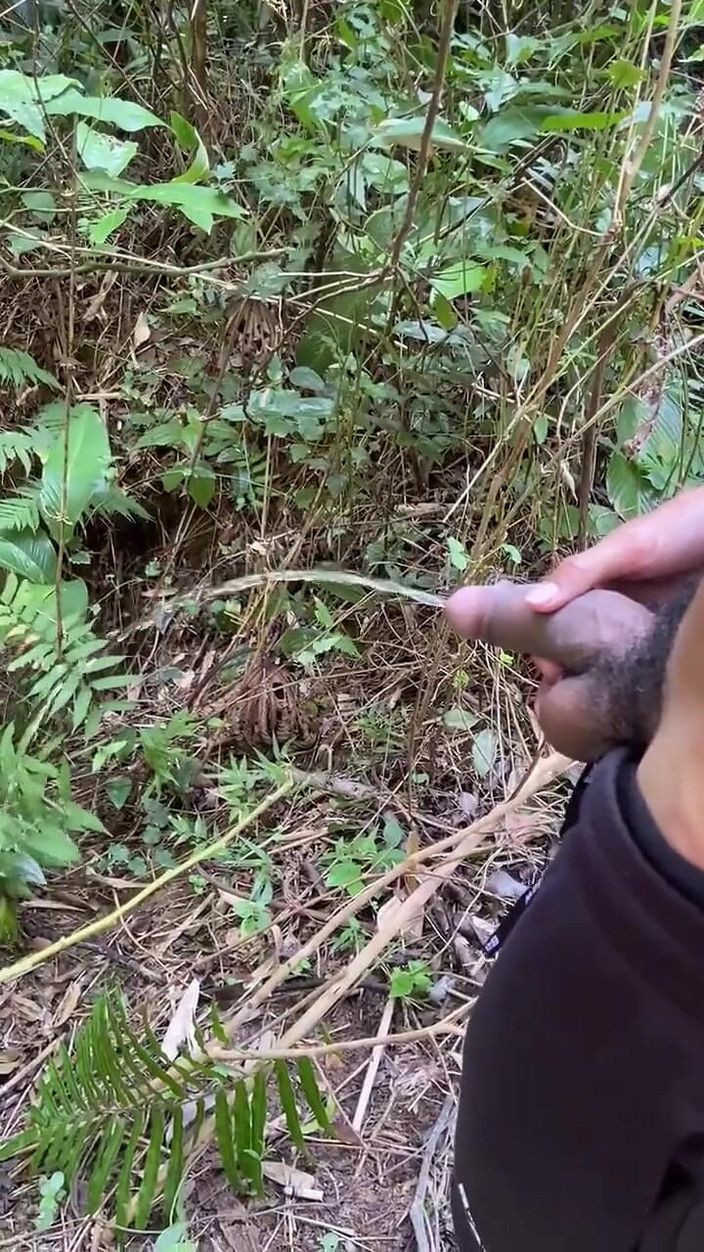 Vida Noite: Pisse passionnée sur les sentiers