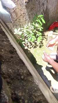 Benimle en büyük ateşli yarakla sikinin boyutunu artır