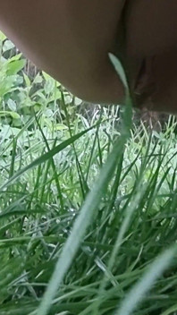 คอมไพล์ฉี่ ฝนทอง เฟมดอมฉี่ โกนหี ตอนที่ 10311