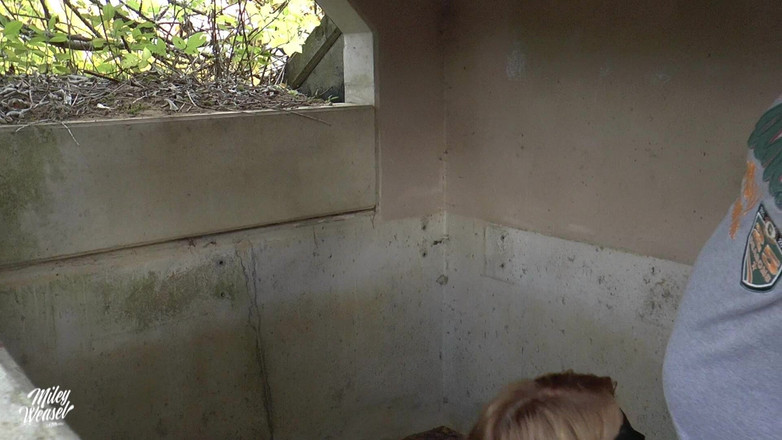 Miley Weasel: Un străin mă ia, legat în buncăr!