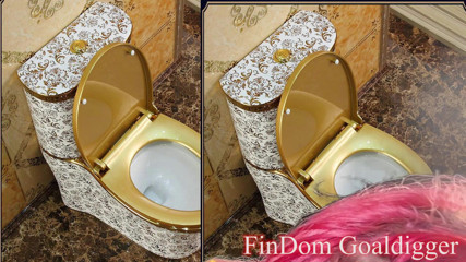 FinDom Goaldigger: Toilet cleaner servant transformation!