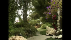 Out Sexxx: Training Am Strand Mit Riesigen Schwänzen Zum Lecken