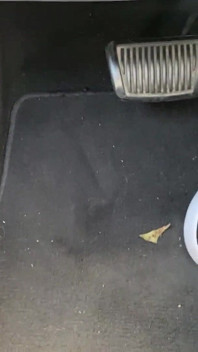 Mengepam pedal dalam kasut tenis oleh kaki ivy
