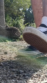 My Vans Skate Shoes and White Socks a Compilation of Videos Where I Play with Them.