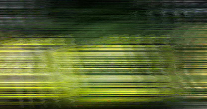 PABLO N3GROBAR: 시즌 4 - 요리하는 순진한 미시 곰