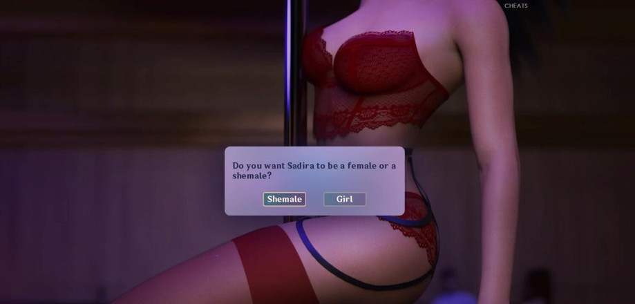 Miss Kitty 2K: Học viện dục vọng - 44 điệu nhảy quyến rũ của ladyboy bởi...