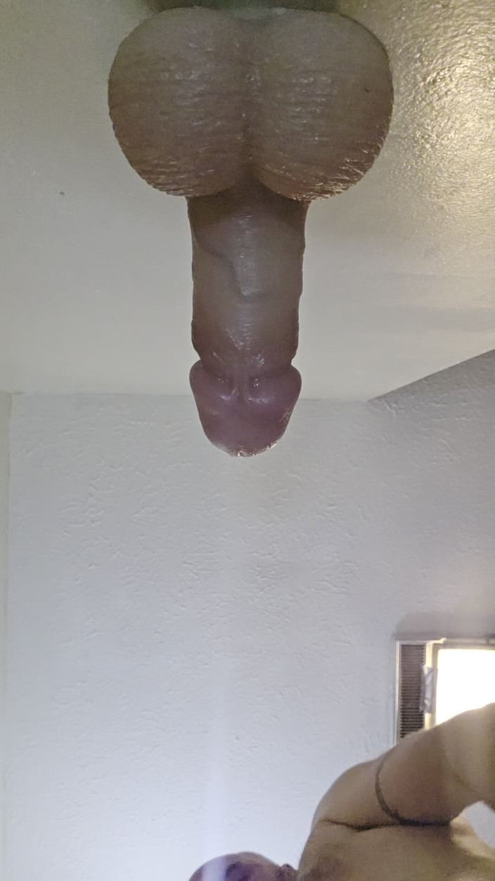 Beary Jax: Kto umieścił ten dildo na ścianie?