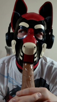 Latex Pet Sucks His Rubber Bone. Watch the Full on My Fancentro