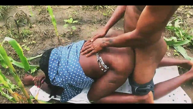 Showkee: Boerderij op zijn hondjes