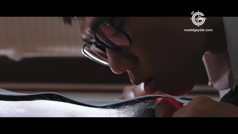 Model Media Cam: Mgv-001 vivo