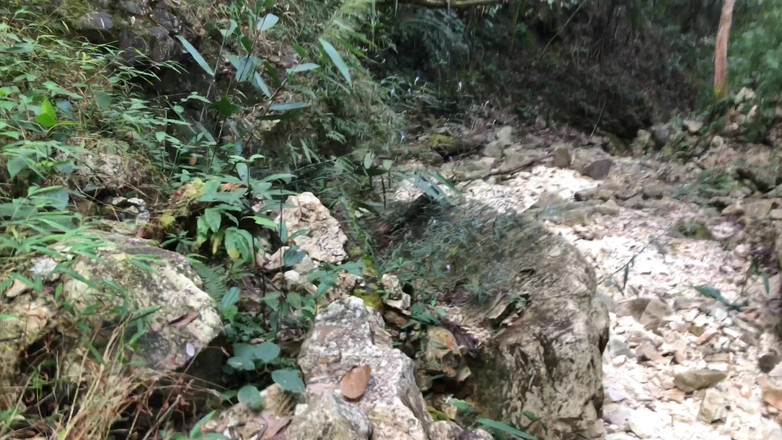 Lustybaby605: Приключения в непальском лесу 2.4 - Мангал в главном джунглях