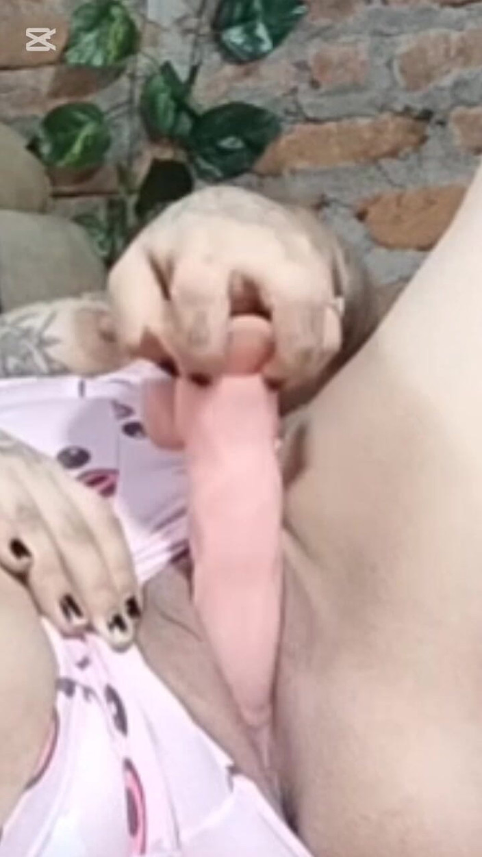 Dalyla: Carona até ela gozar