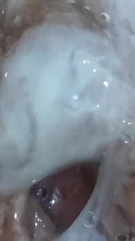 A Creampie Dick - My Onlyfans Lkingsbr1