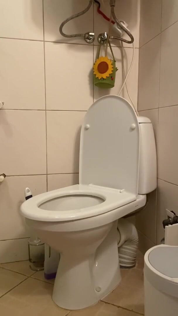 Elena917: Pissing and cleaning the toilet with my tongue