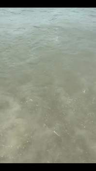 3041770876.mp4