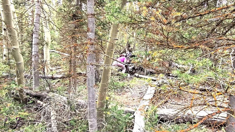 PolyJSwitch: 야외 거유 오럴 섹스