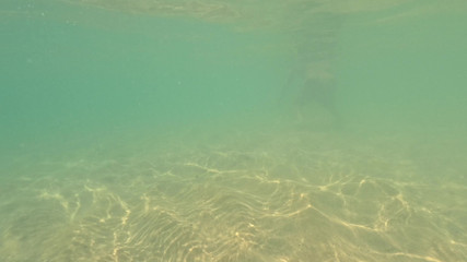 Emma Voyeur: 파라다이스에서 벌거벗은 - 수중 바다 플레이타임