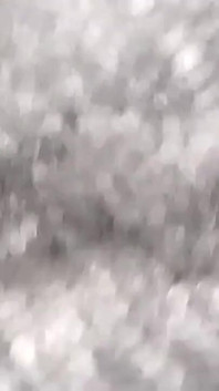 Желтовато-желтоватая черная черная черная глотка и кладет чай