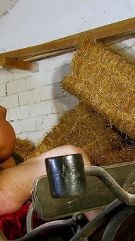 Geile milf Daniella geneukt in de stalle met de koetsier