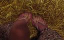 Barefoot Stables: Pies establos meando